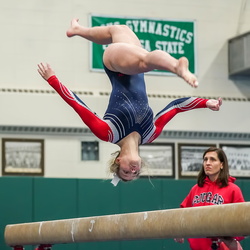 IHSA Gymnastics