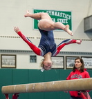 IHSA Gymnastics